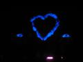[Bild]
