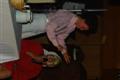 [Bild]