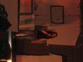 [Bild]