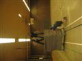 [Bild]