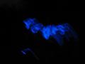 [Bild]