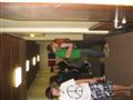[Bild]