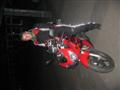 [Bild]