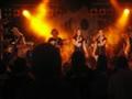 [Bild]