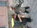 [Bild]