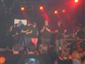 [Bild]