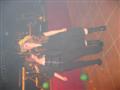 [Bild]