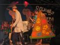 [Bild]