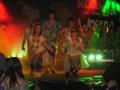 [Bild]