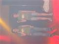 [Bild]